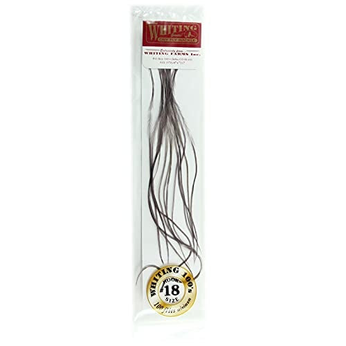 Whiting Farms 100's Saddle Hackle Pack (Dark Dun, 18) - Whiting Farms - dark dun - 18