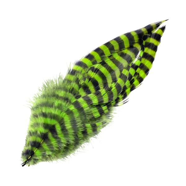 80562396 Company Barred Schlappen Feather - Chartreuse & Black - Montana Fly