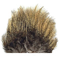 Whiting Farms Coq De Leon Tailing Pack Grizzly Pardo - Whiting Farms - grizzly pardo