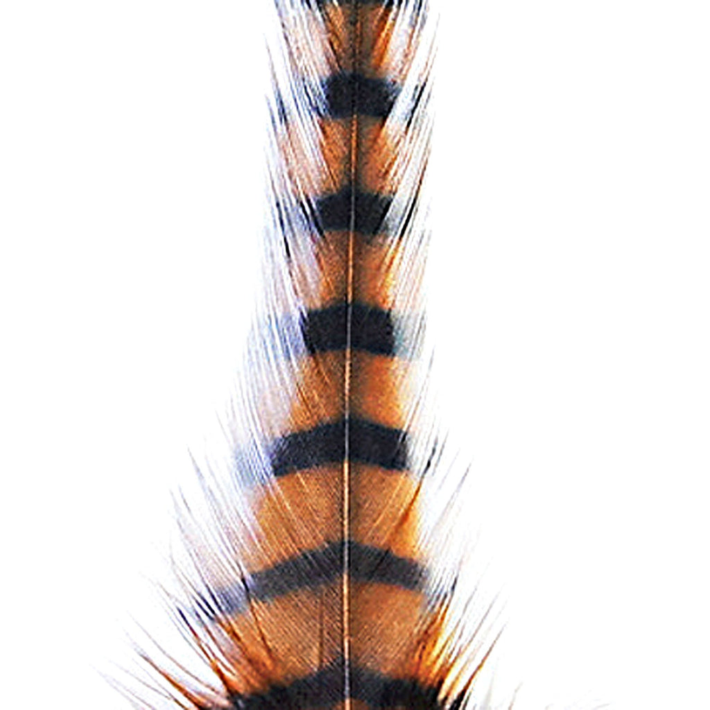 81083189 Company Barred Saddle Hackle - Burnt Orange & Black - Montana Fly - orange/black