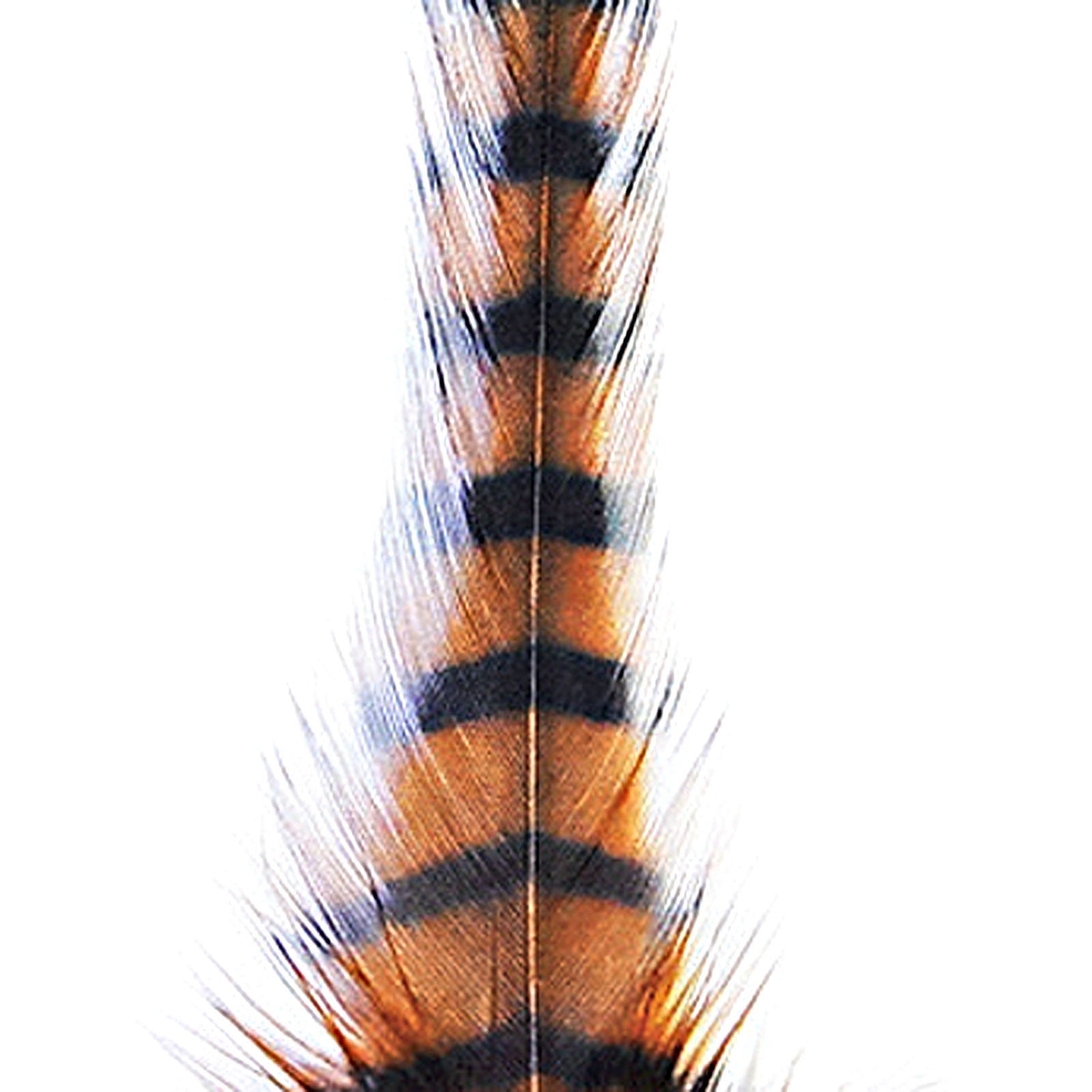 81083189 Company Barred Saddle Hackle - Burnt Orange & Black - Montana Fly - orange/black