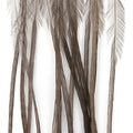 Montana Fly Company Whiting 100 Pack - Dark Dun Size 12 - Montana Fly Company