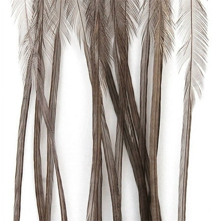 Montana Fly Company Whiting 100 Pack - Dark Dun Size 12 - Montana Fly Company