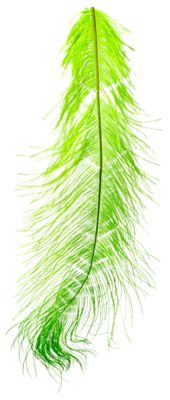 Hareline Ostrich Herl Fly Tying Material - Chartreuse - Hareline Dubbin