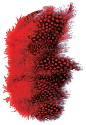 Hareline Strung Guinea Feathers - All Colors - Hareline Dubbin