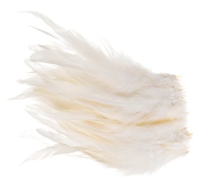 Hareline Dubbin Schlappen Feathers - White - Hareline Dubbin