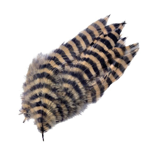 81083195 Company Barred Schlappen Feather - Tan & Black - Montana Fly