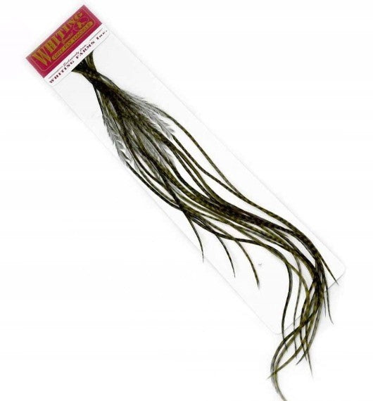 Whiting Pira 100 Pk Grizzly Dyed Dark Olive #18