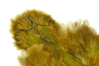 Whiting Brahma Hen Soft Hackle Chickabou Mottled Grey Dyed Dark Olive - Speckled Dyed Golden Olive - Whiting - speckled dyed