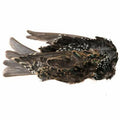 Hareline Dubbin Starling Skins - Hareline Dubbin - multicolor