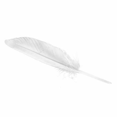 Wapsi Duck Quill - White - Wapsi - white