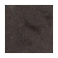 Wapsi Natural Fur Dubbing | Pine Squirrel - Wapsi - pine squirrel