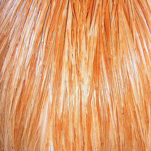Metz Dry Fly Neck | 2, Ginger, Whole - Metz - error: invalid expression