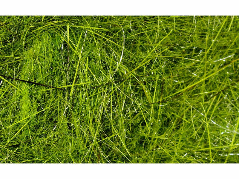 Hareline Dubbin Hare's Ear Plus Dubbing - Olive - Hareline Dubbin