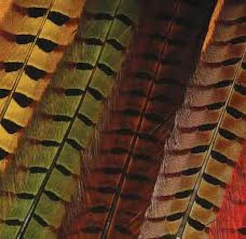 Hareline Ringneck Pheasant Tail Feathers Green - Fly Tying - Hareline - [green] - One Size