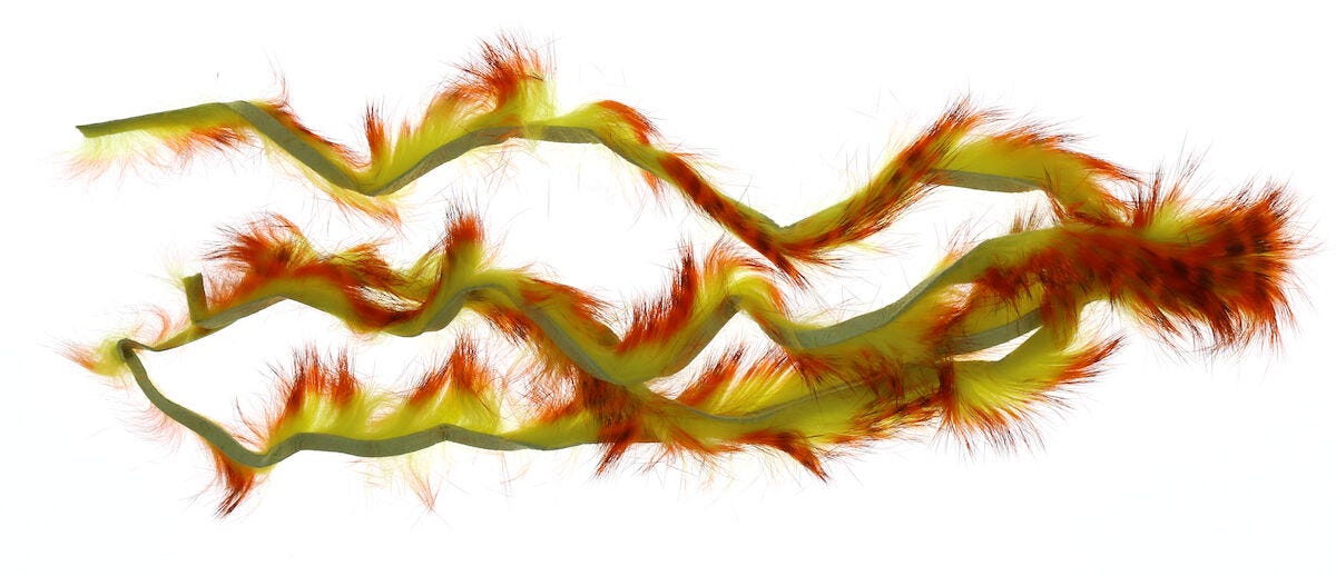 Two Toned Rabbit Strip - HARELINE - multicolored - One Size