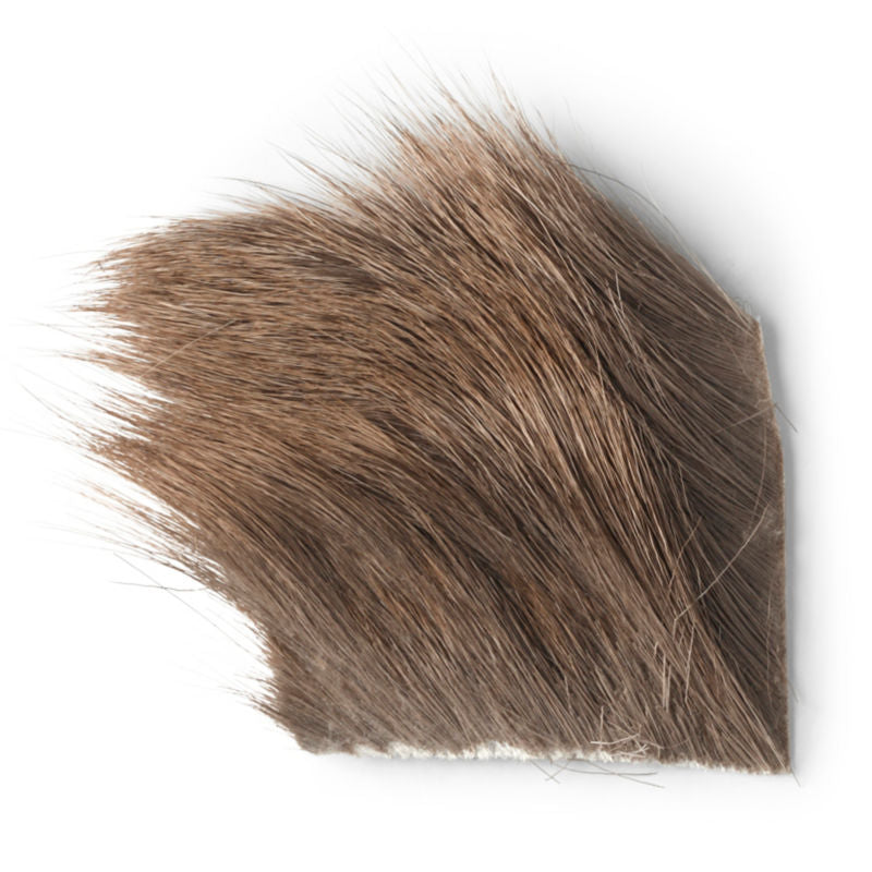 Yearling Elk - Orvis