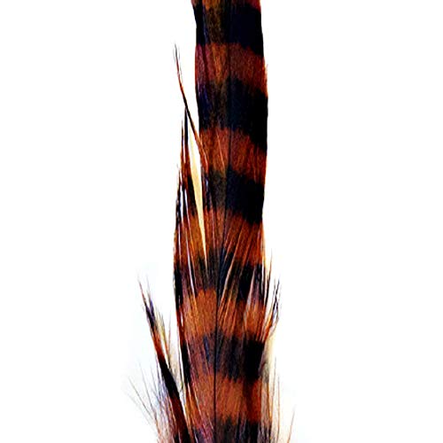 81083208 Barred Schlappen Feather - Brown & Black - Montana Fly - brown/black