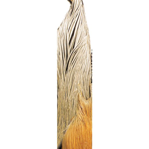 80082327 Grade-2 Dry-Fly Neck - Variant - Metz - variant