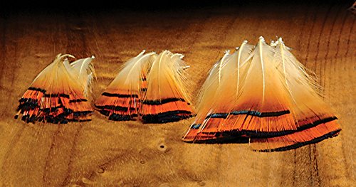 Hareline Dubbin Golden Pheasant Small Tippets - Hareline Dubbin - Small