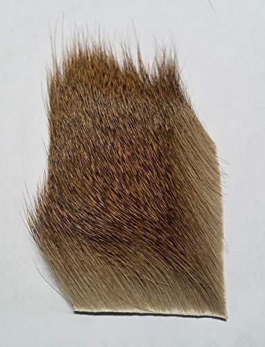 Hareline Coastal Blacktail Deer Body Hair Medium - Hareline Dubbin - medium