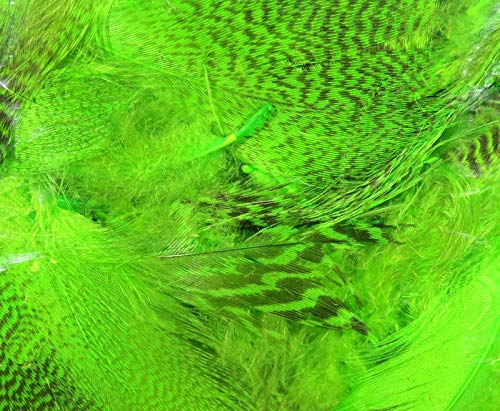 Hareline Teal Flank Feathers (Chartreuse) - Hareline - chartreuse