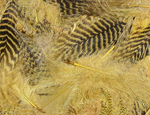 Hareline Teal Flank Feathers (Woodduck Tan) - Hareline - woodduck tan