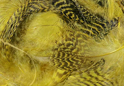 Hareline Teal Flank Feathers (Woodduck Gold) - Hareline - woodduck gold