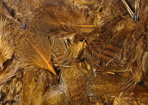 Hareline Premium Hungarian Partridge Feathers - Brown - Hareline