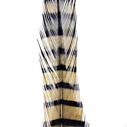 Montana Fly Barred Saddle Hackle Feathers - Montana Fly Company Llc - tan/black