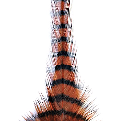 81083206 Barred Saddle Hackle - Rust & Black - Montana Fly - rust/barred black