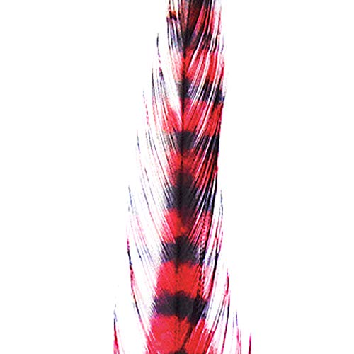 80562395 Company Barred Saddle Hackle - Red & Black - Montana Fly - red/black