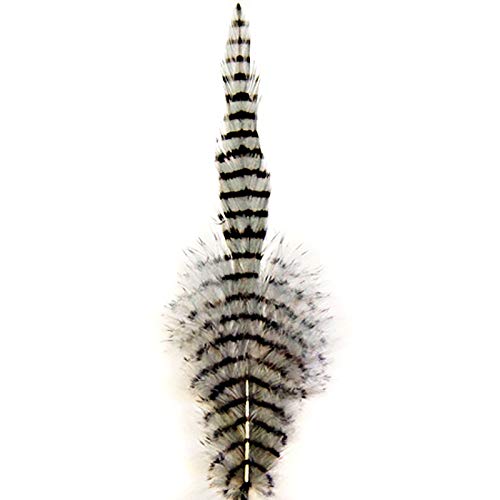 81083204 Barred Saddle Hackle - Montana Fly - grey/black