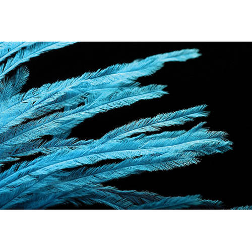 Hareline Dubbin Ostrich Herl - HARELINE DUBBIN, INC - [other]