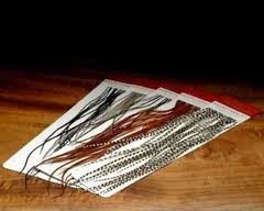 Whiting 100's Dry Fly Hackle - White - Whiting Farms - 10