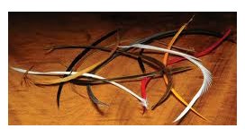 Stripped Goose Biots - Brown - Fly Fishing - Hareline - brown