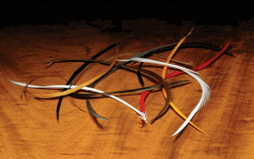 Stripped Goose Biots - White - Fly Fishing - Hareline - [white]