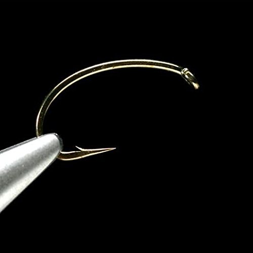 Daiichi 1120 Wide Gape Scud Heavy Hook - Angler Sport Group - undefined