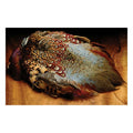 Hareline Skin - Hareline Dubbin Inc - pheasant