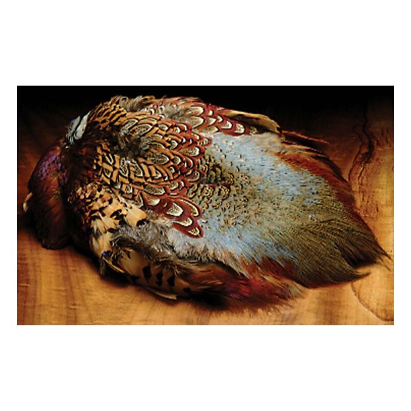 Hareline Skin - Hareline Dubbin Inc - pheasant