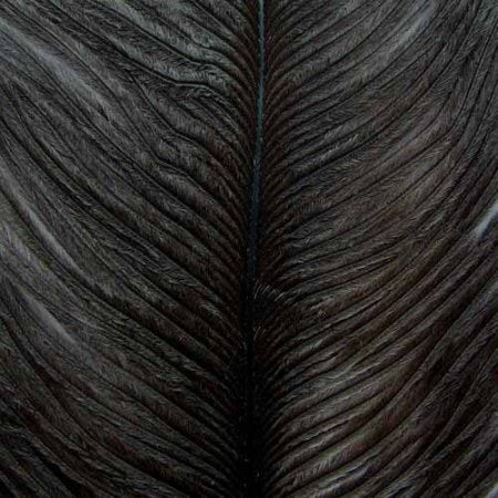 Hareline Ostrich Herl - Black - Hareline - [black]