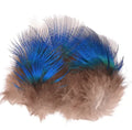 BLUE PEACOCK FEATHERS
