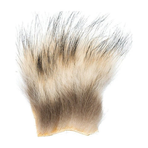 BADGER PATCH