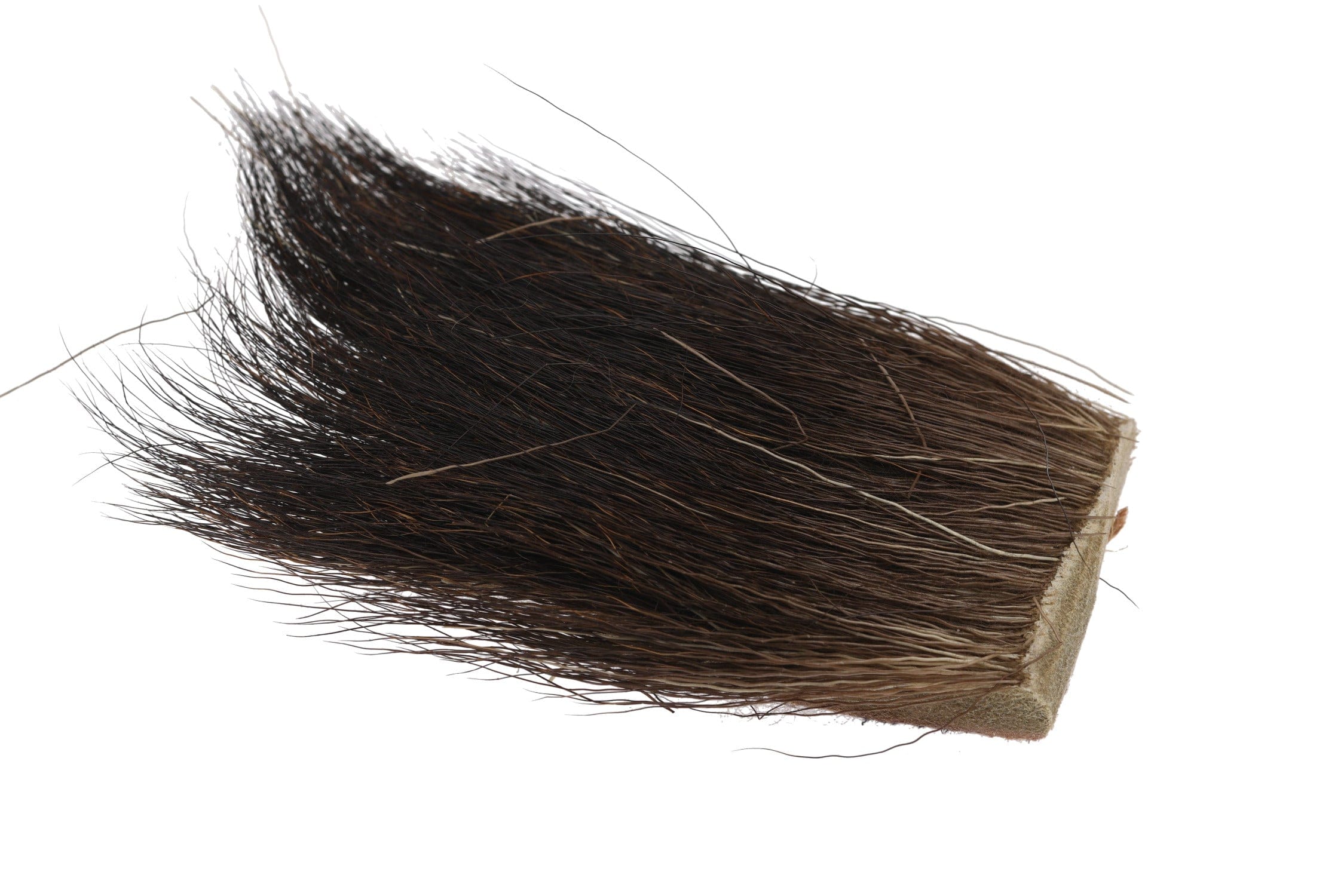 MOOSE BODY HAIR