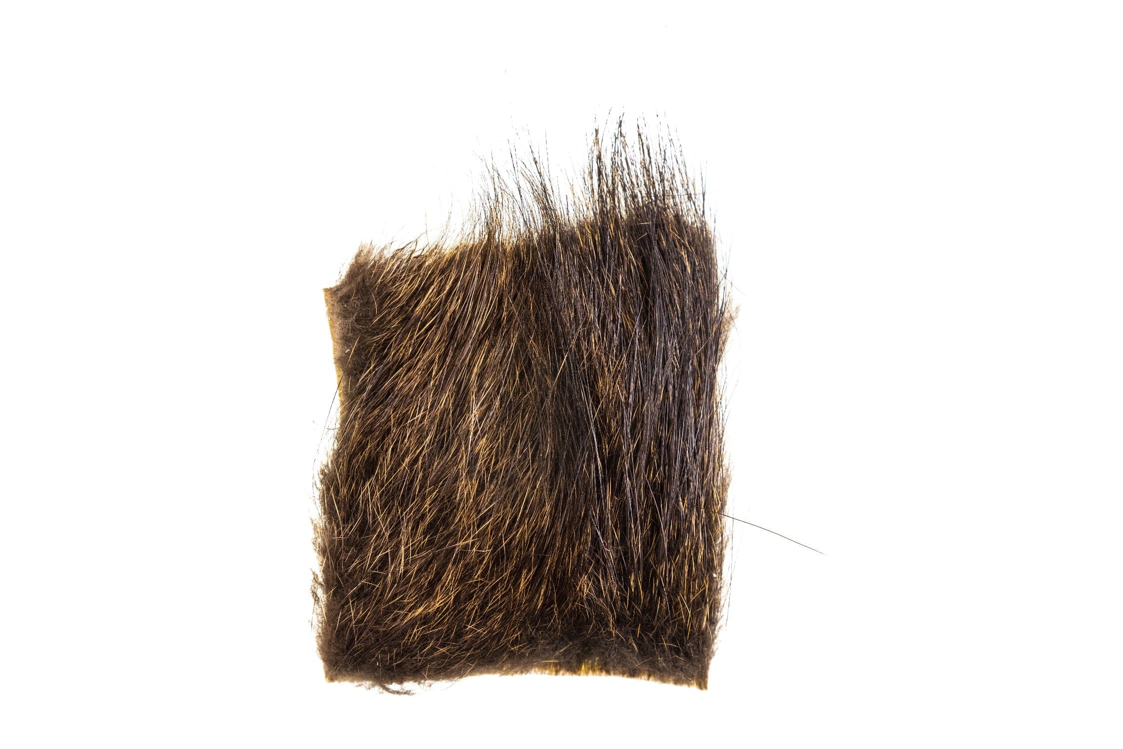 NUTRIA