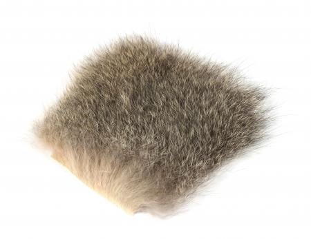 OPOSSUM PATCH