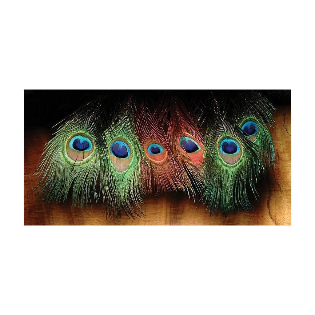 PEACOCK EYE