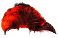RINGNECK NECK PATCH