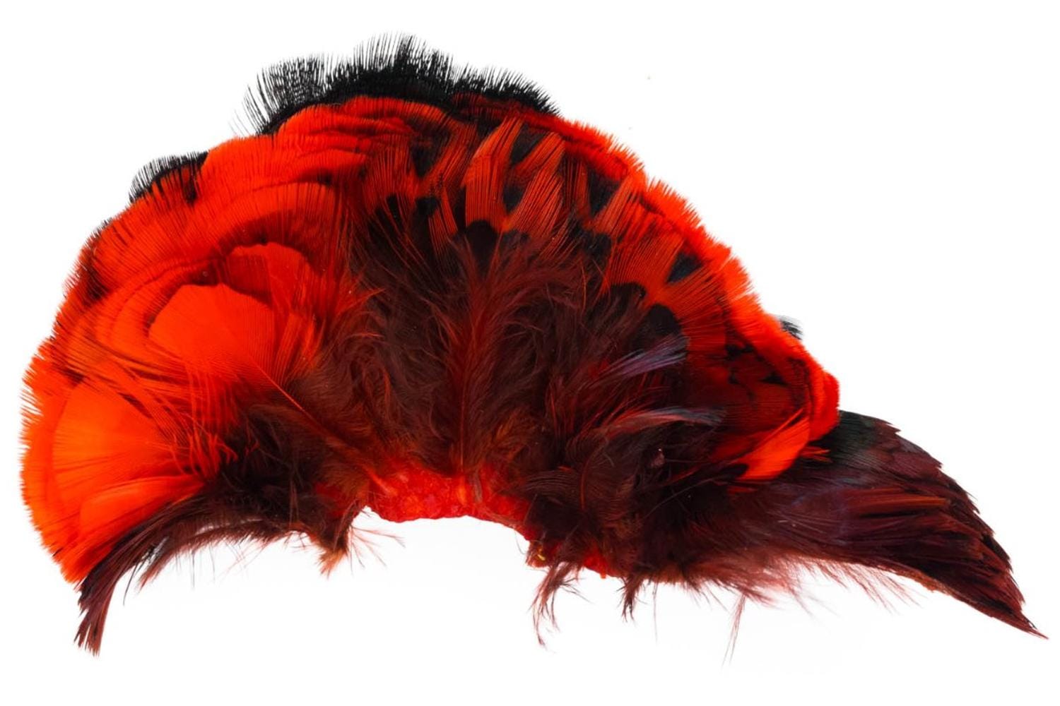 RINGNECK NECK PATCH