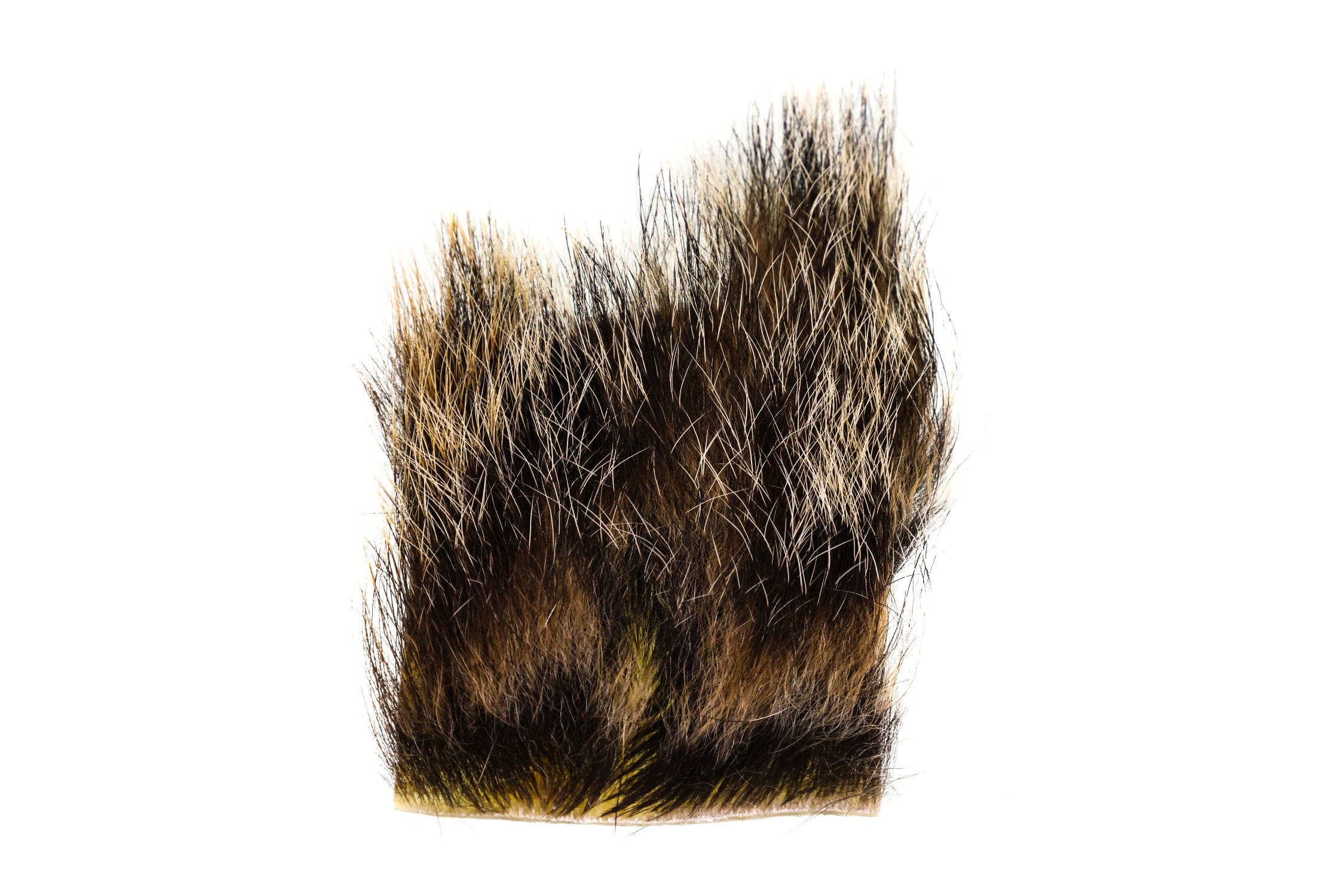 WOODCHUCK